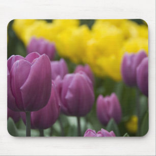 Netherlands aka Holland), Lisse. Keukenhof 10 Mouse Pad