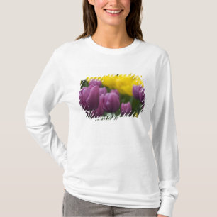 Netherlands aka Holland), Lisse. Keukenhof 10 T-Shirt
