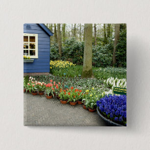 Netherlands aka Holland), Lisse. Keukenhof 11 15 Cm Square Badge
