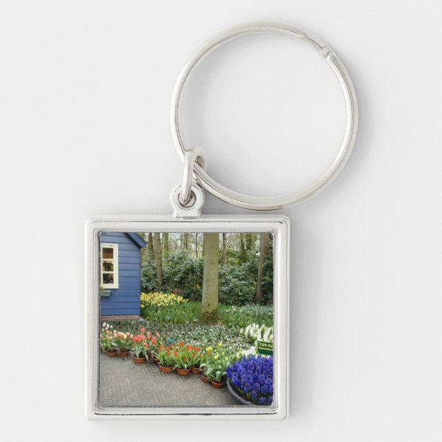 Netherlands aka Holland), Lisse. Keukenhof 11 Key Ring (Front)