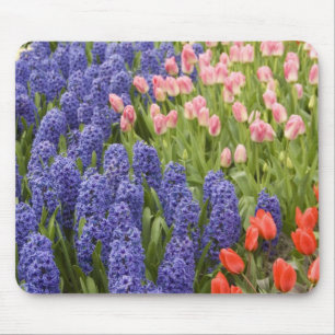 Netherlands aka Holland), Lisse. Keukenhof 2 Mouse Pad