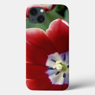 Netherlands (aka Holland), Lisse. Keukenhof 3 iPhone 13 Case