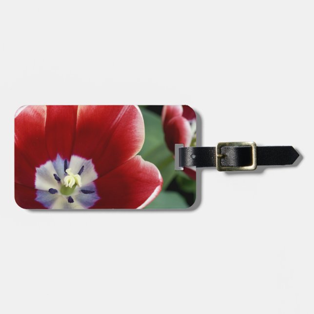 Netherlands (aka Holland), Lisse. Keukenhof 3 Luggage Tag (Front Horizontal)