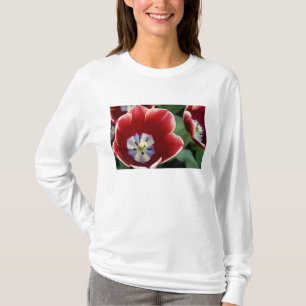 Netherlands (aka Holland), Lisse. Keukenhof 3 T-Shirt