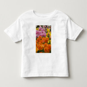 Netherlands aka Holland), Lisse. Keukenhof 4 Toddler T-Shirt