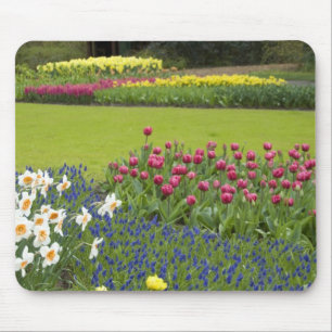 Netherlands aka Holland), Lisse. Keukenhof 5 Mouse Pad
