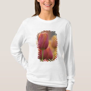 Netherlands aka Holland), Lisse. Keukenhof 6 T-Shirt