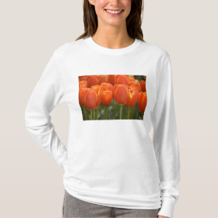 Netherlands aka Holland), Lisse. Keukenhof 7 T-Shirt