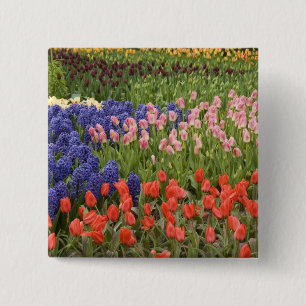 Netherlands aka Holland), Lisse. Keukenhof 8 15 Cm Square Badge