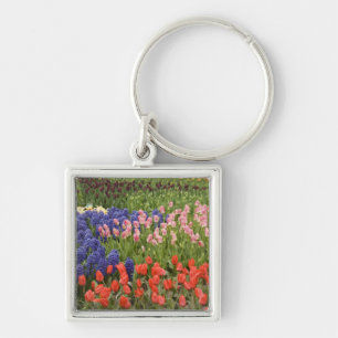 Netherlands aka Holland), Lisse. Keukenhof 8 Key Ring