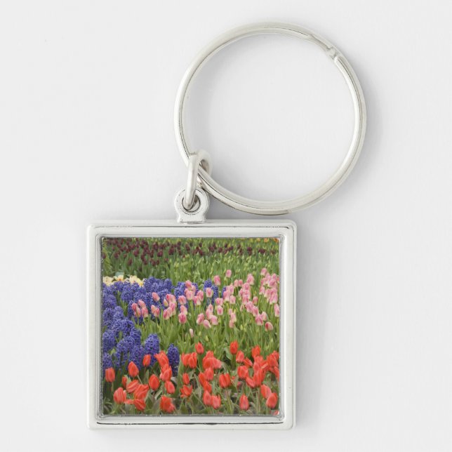 Netherlands aka Holland), Lisse. Keukenhof 8 Key Ring (Front)