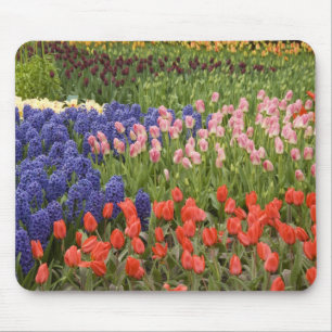 Netherlands aka Holland), Lisse. Keukenhof 8 Mouse Pad