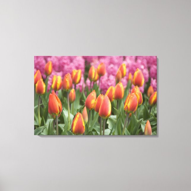 Netherlands (aka Holland), Lisse. Keukenhof Canvas Print (Front)