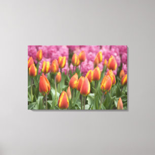 Netherlands (aka Holland), Lisse. Keukenhof Canvas Print