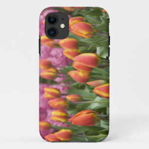 Netherlands (aka Holland), Lisse. Keukenhof Case-Mate iPhone Case
