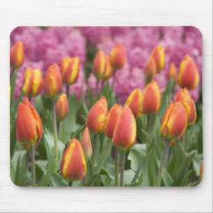 Netherlands (aka Holland), Lisse. Keukenhof Mouse Pad