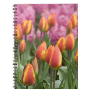 Netherlands (aka Holland), Lisse. Keukenhof Spiral Notebook