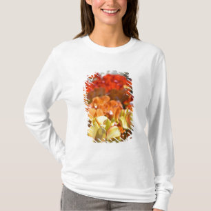 Netherlands aka Holland), Lisse. Keukenhof T-Shirt