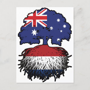 Netherlands Dutch Australian Australia Tree Roots Postcard