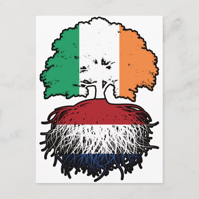 Netherlands Dutch Irish Ireland Tree Roots Flag Postcard (Front)