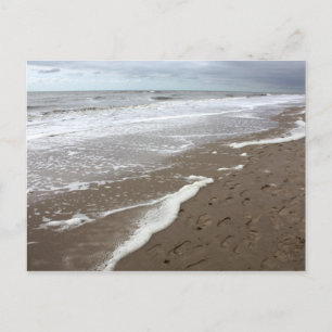 Netherlands Egmond aan Zee beach 02 Postcard