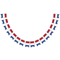 Netherlands Flag