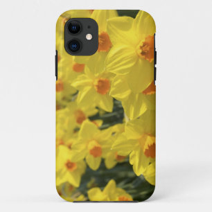 Netherlands, Holland, Lisse, Keukenhof Gardens, iPhone 11 Case