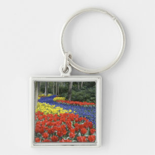 Netherlands, Holland, Lisse, Keukenhof Gardens Key Ring