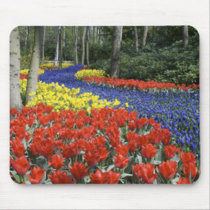 Netherlands, Holland, Lisse, Keukenhof Gardens Mouse Pad