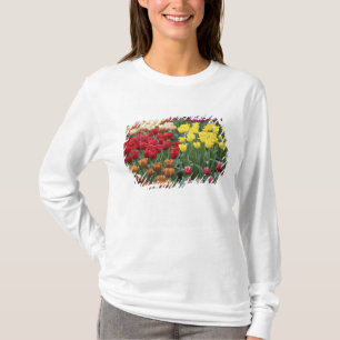 Netherlands, Keukenhoff Gardens, tulips. T-Shirt