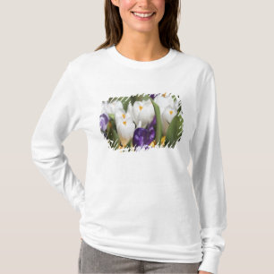 Netherlands, Keukenhoff Gardens, Tulips. T-Shirt