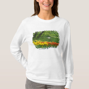 Netherlands, Lisse. White swans on pond amid T-Shirt