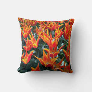 Netherlands Tulips Keukenhof Pillow Europe 
