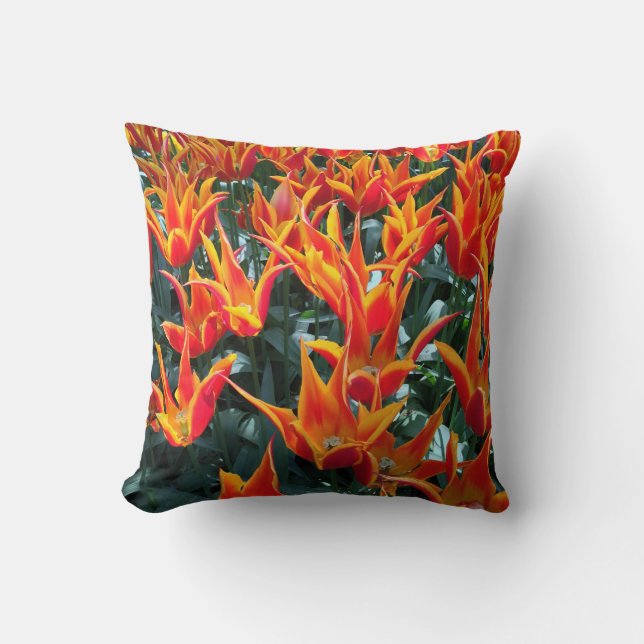 Netherlands Tulips Keukenhof Pillow Europe  (Front)