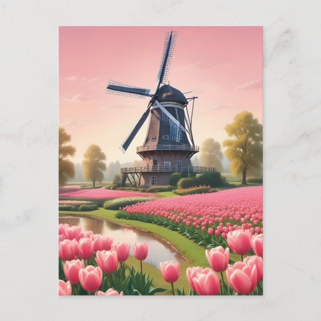 Netherlands Windmills Postcard (Front)
