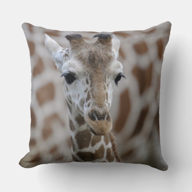 Netzgiraffe, Giraffa camelopardalis reticulata Cushion (Front)