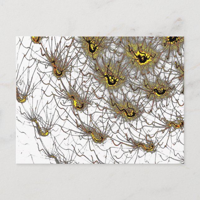 Neural Network Card (Front)