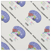 Neurologically Overwhelmed Inside Brain Anatomy