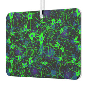 Neuron City Car Freshener