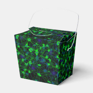 Neuron City Favor Box