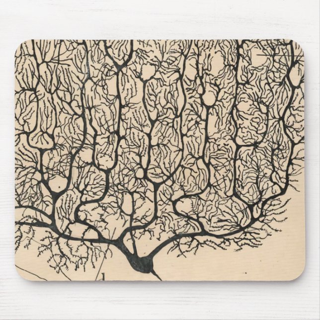 Neuron Drawing By Santiago Ramón Y Cajal Mouse Pad (Front)