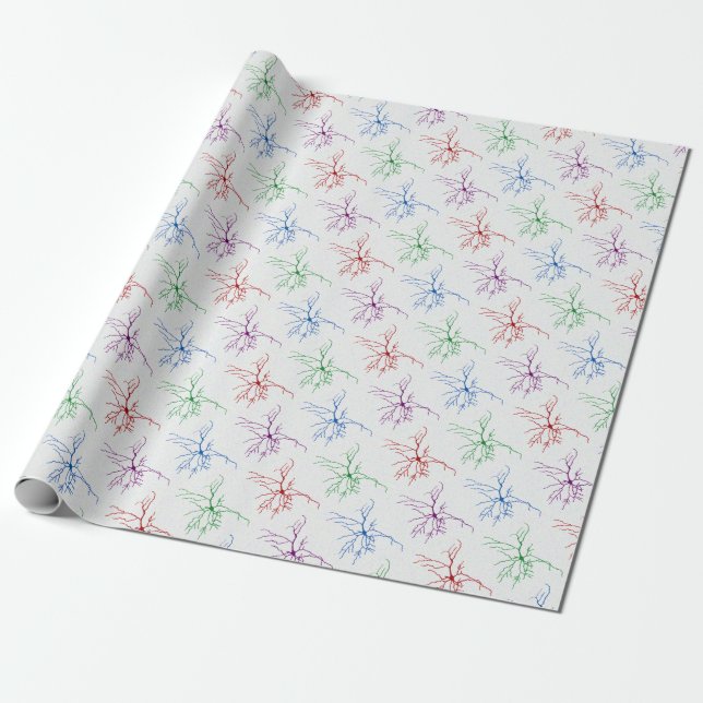 Neuron Paper (Unrolled)
