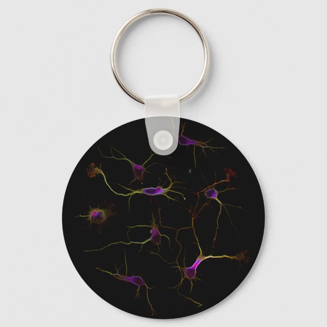 NeuronRoots KeyRing (Front)