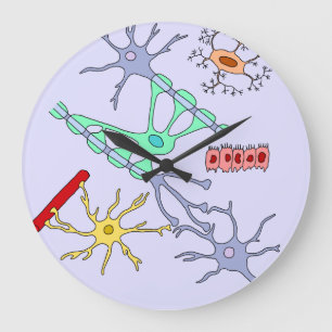 Neurons And Glia Large Clock