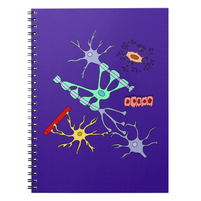 Neurons And Glia Notebook (Front)
