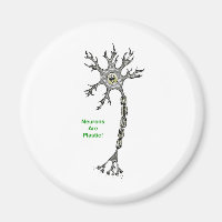 Neurons Are Plastic!