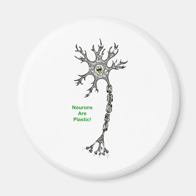Neurons Are Plastic! Magnet (Front)