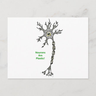 Neurons Are Plastic! Postcard