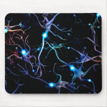 Neurons