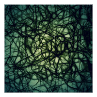 Neurons